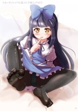 hentai touhou project