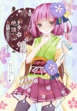 hentai touhou project