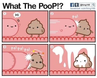 hentai What the PooP