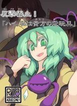 hentai touhou project