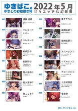 hentai touhou project