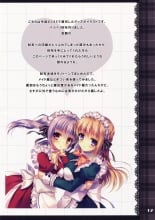 hentai touhou project