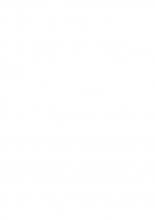 hentai touhou project