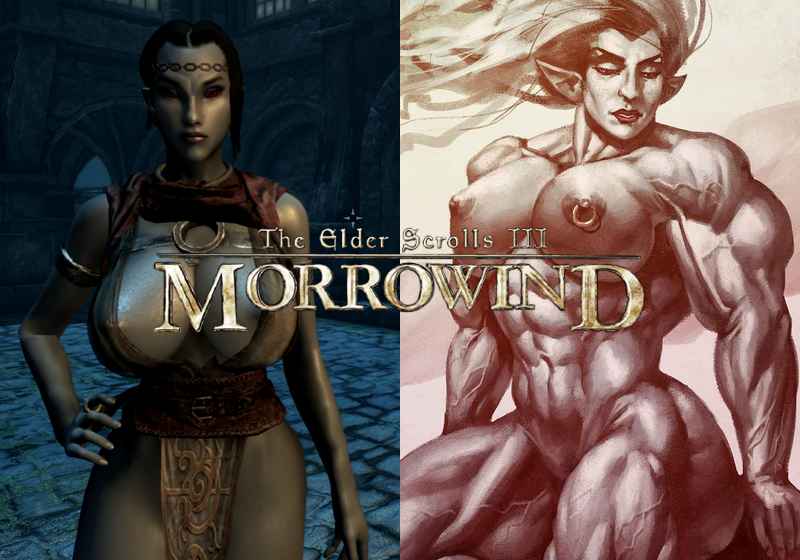 Morrowind hentai, quand les dunmers sortent de l